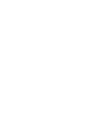 QLZH Holding p.l.c.